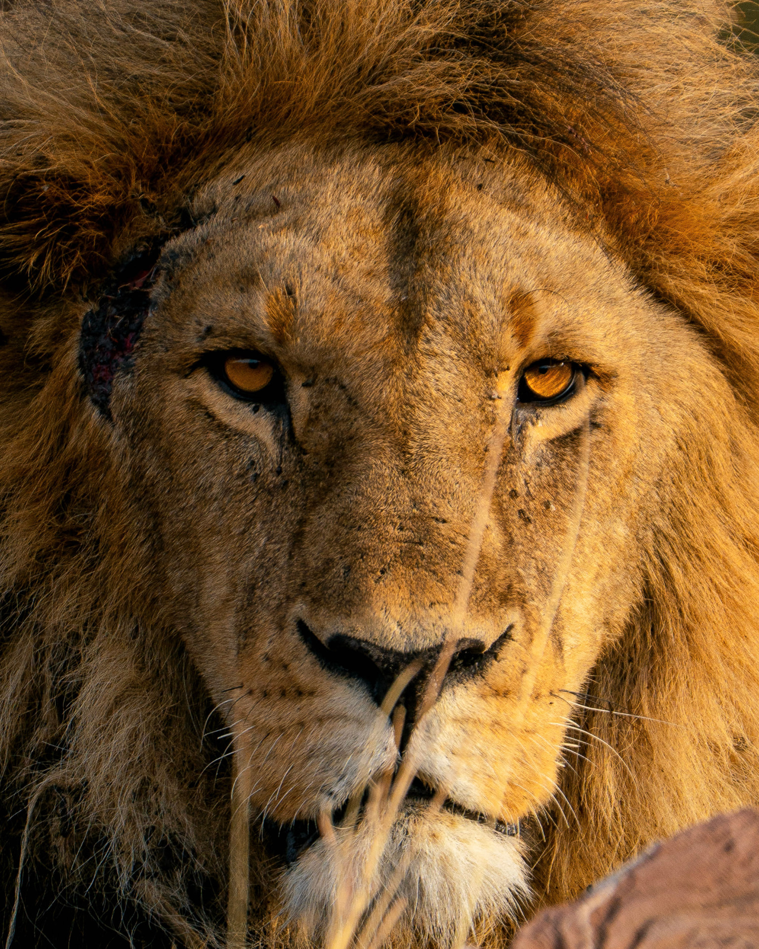 Serengeti National Park